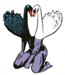 redim_proportionnel_photo-1