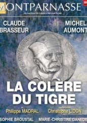 la-colere-du-tigre