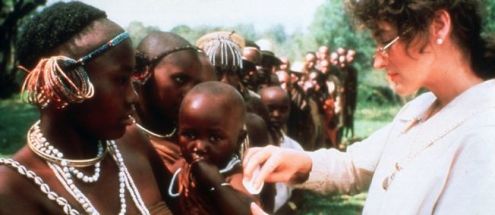 cin-3028565-jpg_2639224_652x284