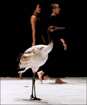 © Virginie Pontisso