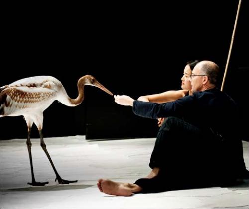 g_Chaillot15PettonBird33b