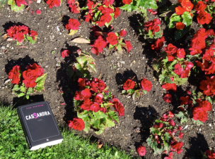 Capture d’écran 2015-07-31 à 18.55.22