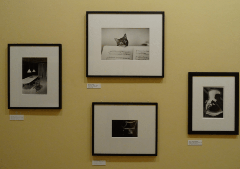 Capture d’écran 2015-08-15 à 20.26.08