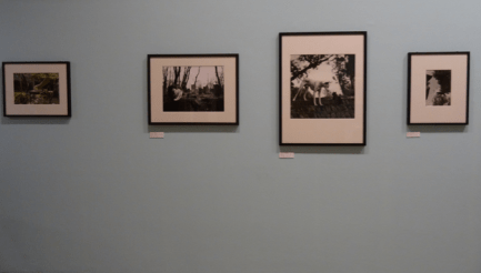 Capture d’écran 2015-08-15 à 20.46.43