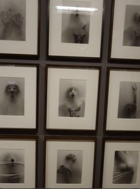 Capture d’écran 2015-08-21 à 08.05.38