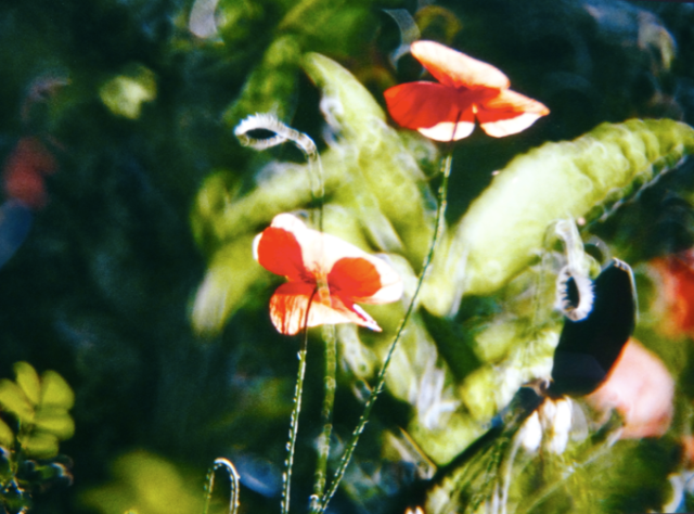 Capture d’écran 2015-08-22 à 11.01.38