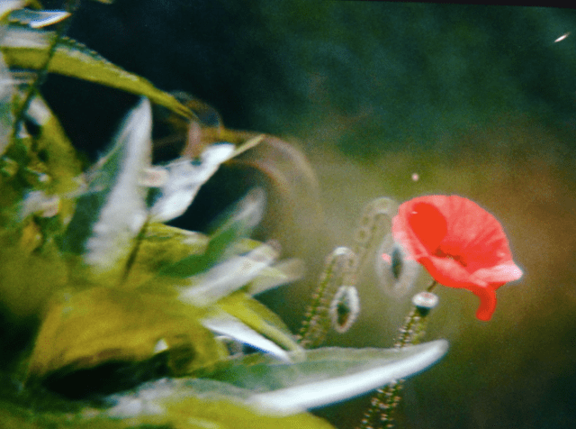 Capture d’écran 2015-08-22 à 11.04.57