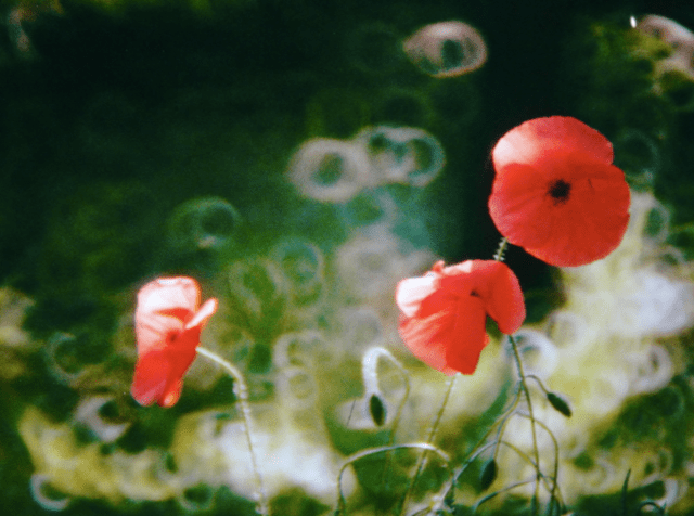 Capture d’écran 2015-08-22 à 11.06.34