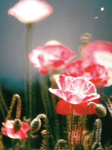 Capture d’écran 2015-08-22 à 11.08.09