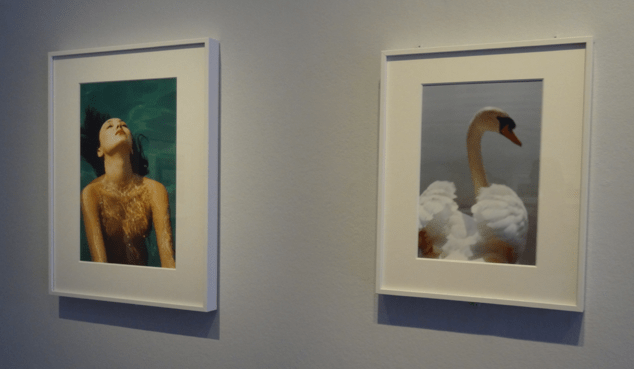 Capture d’écran 2015-08-22 à 11.17.40