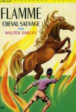 l-etalon-noir,-tome-4---flamme,-cheval-sauvage-1731062