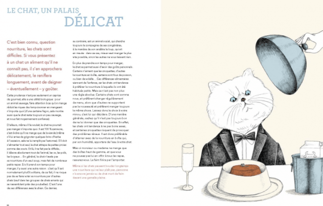 Capture d’écran 2015-12-19 à 20.16.43