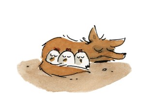 TBBF_17_Synopsis2CUT_EN