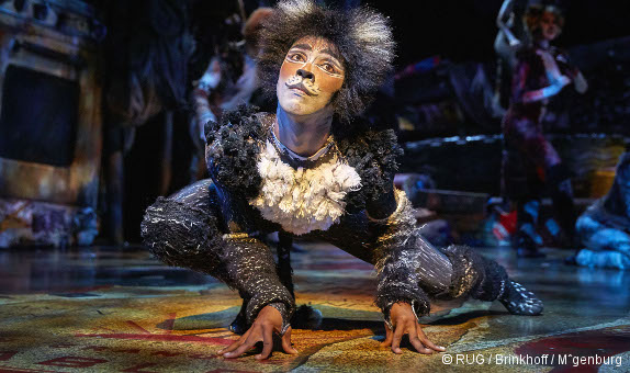 CATS Musical Mogador, Paris Stage Entertainment Franc