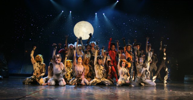 ob_bb20c3_cats-musical