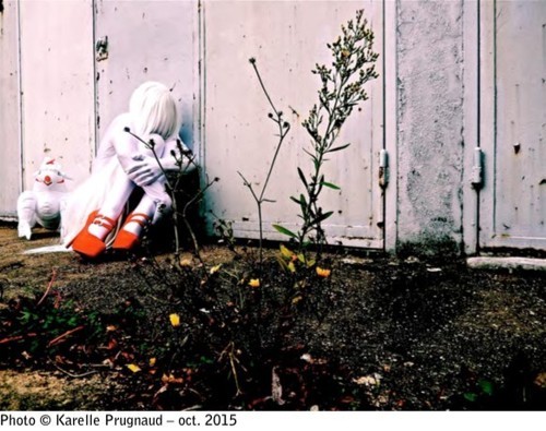 14643530618775_photo_28162