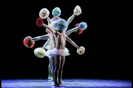 3944les_chicos_mambo_dans_tutu_8__dr_good