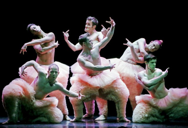 les-chicos-mambo-dans-tutu-2-dr_0