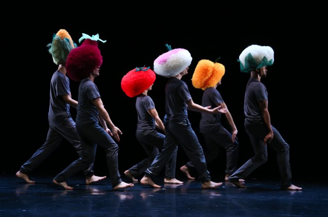 tutu-12-michel-cavalca