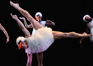 TUTU-5-Michel-Cavalca1-320x225