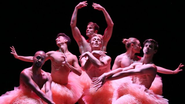 tutu-chicos-mambo_5164889