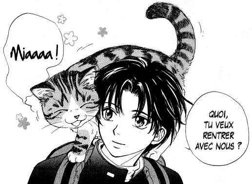 3250319806_1_3_55cbbshf