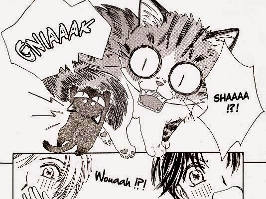 plum-un-amour-de-chat-4