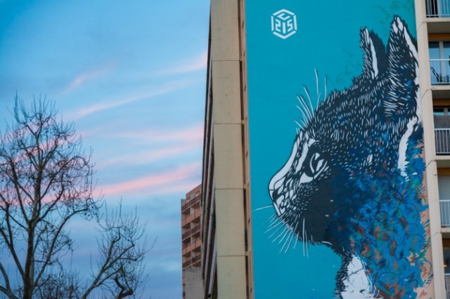 c215-paris-national-vincent-auriol-3