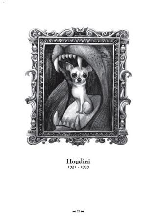 destins-chiens-sebastien-perez-illustre-benja-l-njpdkg